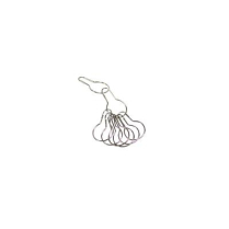 Shower curtain - rings, White