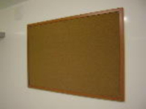 Bulletin board + needles