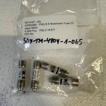 Sanitrax- 480V 2 Pole Sch i60N