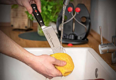 FDick care and maintenance image