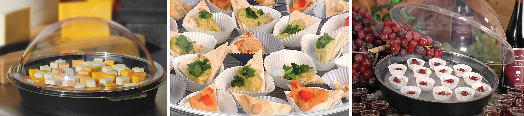 Sample dome main banner image