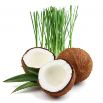COCONUT LEMONGRASS CARTRIDGE