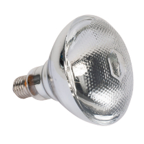 LAMPE DE RECHANGE PAR38 150W