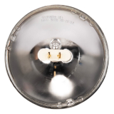 LAMPE DE RECHANGE PAR56 300W WFL - ADJ