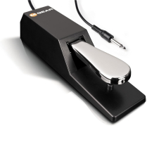 SUSTAIN PEDAL POUR CLAVIER SP-2