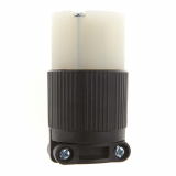 NEMA 5-15R 15 A 125 V RECEPTACLE &mdash; 2-pole / 3-wire (grounding)