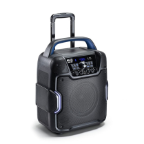 SYSTEME ADRESSE PUBLIQUE 100W BT AVEC EFFETS