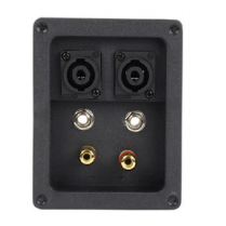 BORNIER HAUT-PARLEUR 2xSPEAKON 2x1/4 2xBANANE