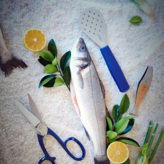 F.Dick ProDynamic Fish Scraper