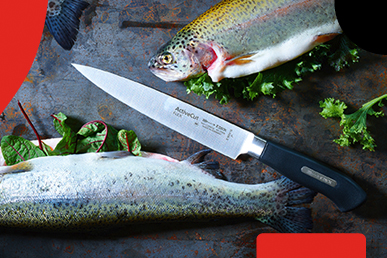 FDick active cut series knives image