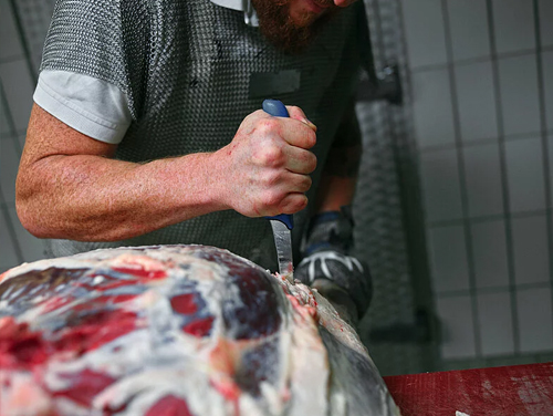 FDick expert grip series knives image