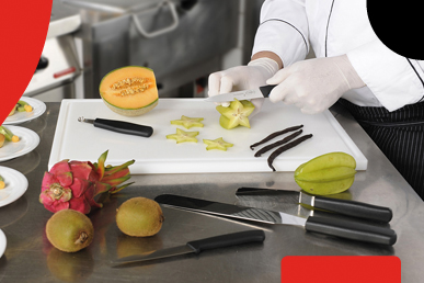 FDick pro dynamic series knives image