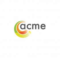 ACME Phenyl, 10 x 3.0/4.6mm, 5um, 120A, HPLC Guard Cartridge