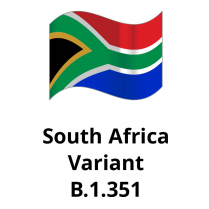 South African Variant, 1mg