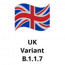 UK Variant, 100ug