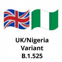 B.1.525  (UK/Nigerian Variant) (100ug)