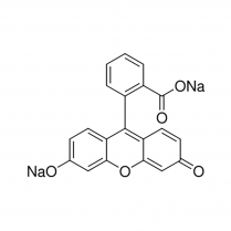 Fluorescein sodium salt indicator, 98.5-100.5%