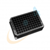 96-Well Deep,  2mL, PP, Square Well, V-Bottom