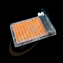 Al Strips, Adhesive, Not Sterile, 1 x 8 rows, 6pcs
