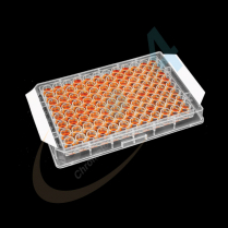 Polyester Seal, Extra Adhesive, Not Sterile