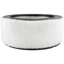 Air Element with Foam Wrap