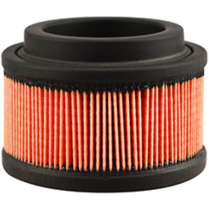 Air Breather Element