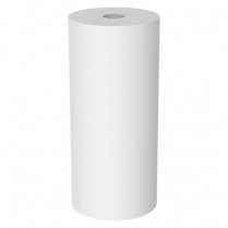 Water & Liquid Filters Sediment Depth L-10" D-4.0" Micron-25-1