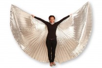 DANCE WINGS Silver