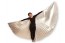 DANCE WINGS Silver