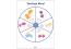 FULL CIRCLE SEL CURRICULUM Resource Companion Interactive eBook