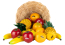 FRUIT SHAKERS 18-Piece with Basket