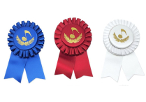 ROSETTE AWARD RIBBON