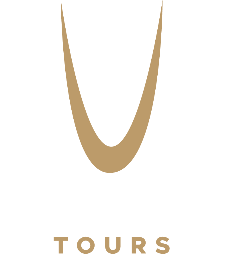 Logo for Unique Limousine