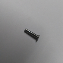 O-RING PIN