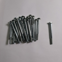 CAP SCREW HEX HEAD(1/4-20 x 2-3/4)