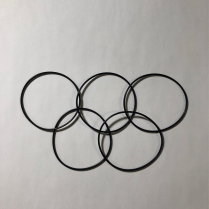 O RING