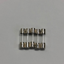 PKG-FUSE,10A,250V SLOW, 5MMX20MM (5)