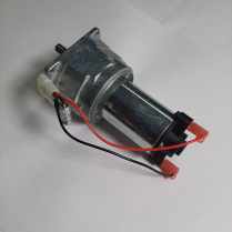HEAD DRIVE MOTOR ASSEMBLY (24VDC)
