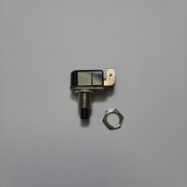 Plunger Switch