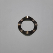 Washer Spring