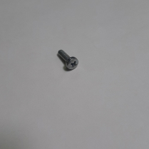 SCR+RDHD 3X10MM
