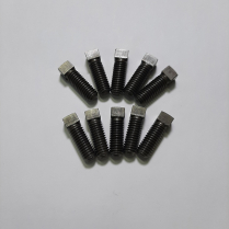 3/8-16x1 Scr STSQ CP Bag/10
