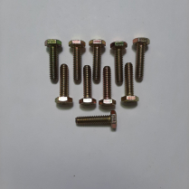1/4-20 x 1 Screw HHC Bag/10
