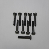 1/4-20 x 1 1/2 Scr Hx Bag/10