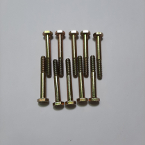 1/4-20 x 2 Screw Hx Bag/10