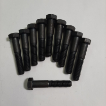 3/8-16 x 2 Scr Hx Bag/10