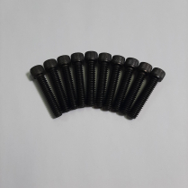 1/4-20 x 1 1/4 Scr SOC Bag/10