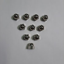 5/16-18 Nut Acorn Lk Bag/10