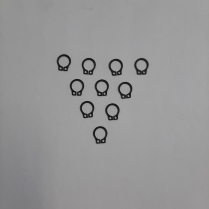 #5100-25 Retain Ring Bag/10