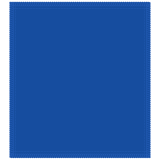 KR MINNIE MOUSE CLEANING SHAMMY